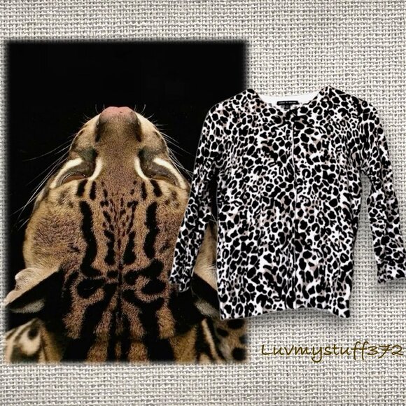 I ๐งก Sweater Weather! ๐๐๐ Lots in my Closet!!! - Picture 4 of 16